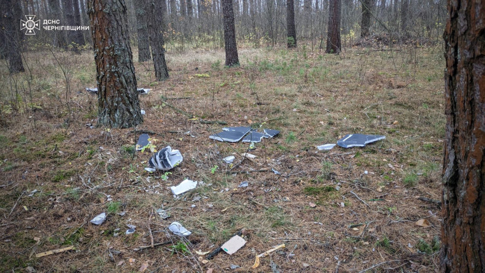 В Черниговской области двое подростков, собирая грибы, подорвались на обломках сбитого дрона