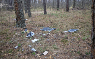На Чернігівщині двоє підлітків, збираючи гриби, підірвалися на уламках збитого дрона