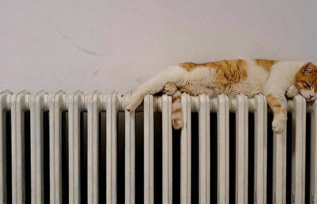 Пенсионный фонд пересчитал субсидии на отопительный сезон – где узнать информацию о начислении