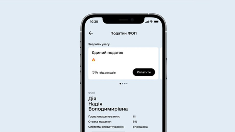 ФЛП должны подать декларацию за девять месяцев до 10 ноября — как это сделать в Дии