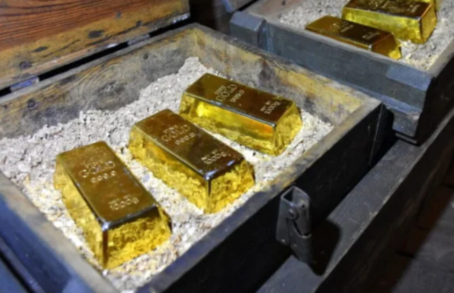 Француз во время копки бассейна нашел золотое сокровище стоимостью 700 тысяч евро