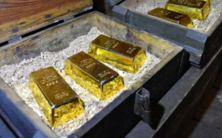 Француз під час копання басейну знайшов золотий скарб вартістю 700 тисяч євро