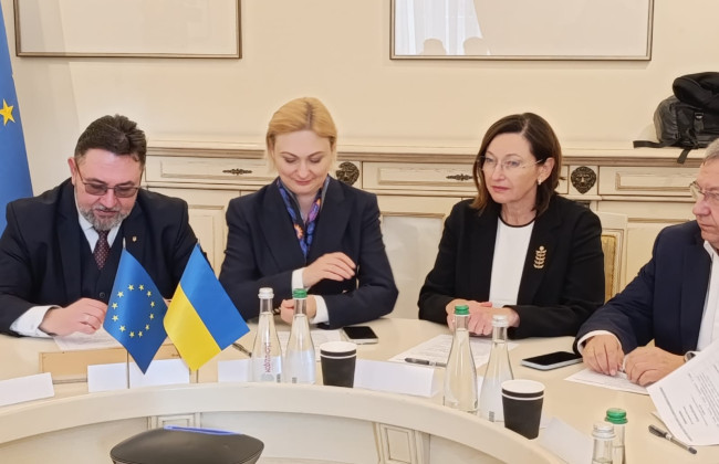 Комітет Ради підтримав вилучення російської мови зі списку мов, які підлягають захисту за Хартією