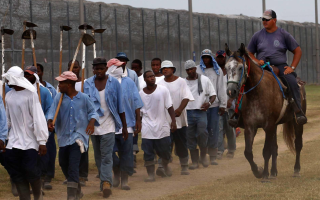 Штат Луизиана хочет, чтобы заключенные работали на ферме даже при 33-градусной жаре — дело рассматривает суд