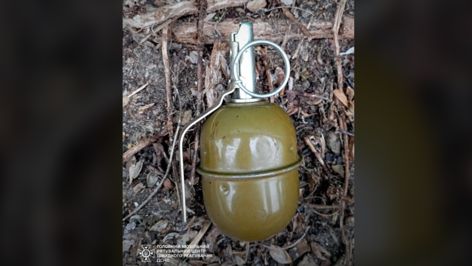 На Київщині в одному з гаражних кооперативів знайшли бойову гранату, фото