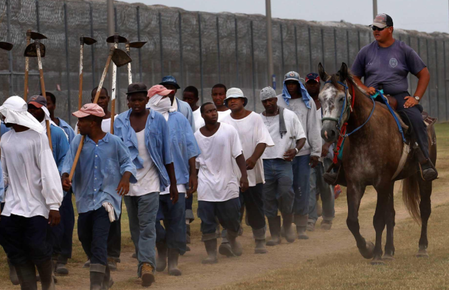 Штат Луизиана хочет, чтобы заключенные работали на ферме даже при 33-градусной жаре — дело рассматривает суд