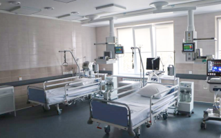 Во Львовской области от бешенства умерла женщина — ее укусил котенок, которого она подобрала на улице