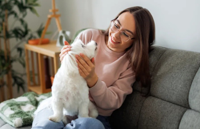 Никаких «без животных» и выселений за жалобы на плохие условия: в Великобритании провели масштабную реформу аренды жилья