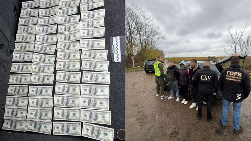 В Винницкой области задержали иностранцев, которые за $8000 переправляли военнообязанного в Молдову