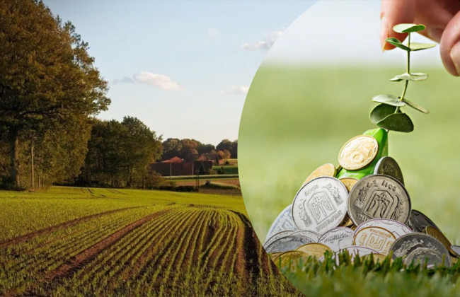 Кто и при каких условиях может не уплачивать земельный налог — ГНС разъяснила