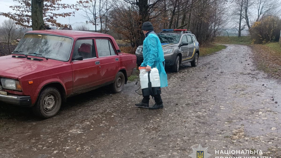 У Тернопольской области зафиксировали африканскую чуму свиней: что известно