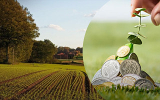 Хто і за яких умов може не сплачувати земельний податок — ДПС роз’яснила