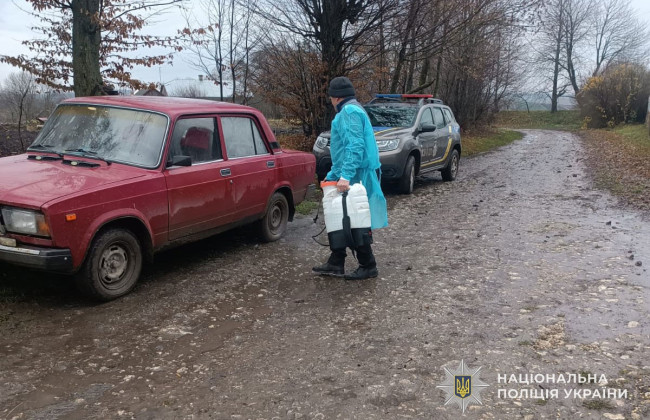 У Тернопільської області зафіксували африканську чуму свиней: що відомо