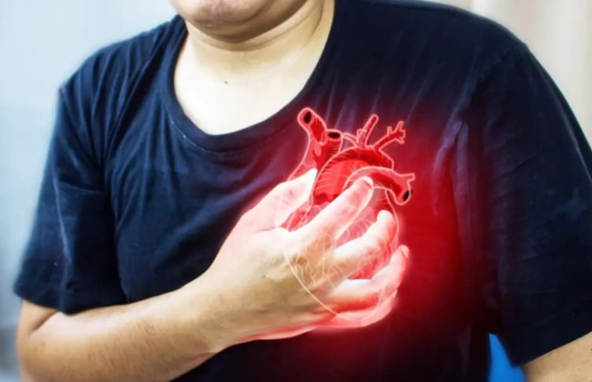 В США ученые создали необычный пластырь для предотвращения инфарктов