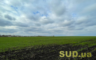 С 2026 года вводится новая налоговая декларация по арендной плате за сельскохозяйственные земли государственной собственности