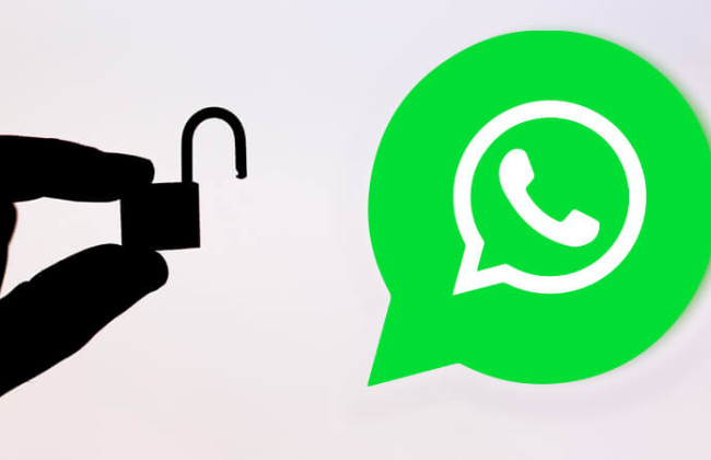 WhatsApp «слил» базу номеров пользователей из-за недостатка в веб-версии — исследователи