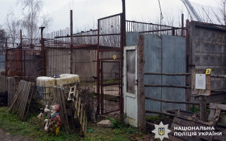 Побег двух львиц в Хмельницком: руководителю частного зооуголка сообщили о подозрении