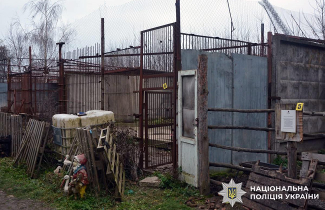 Втеча двох левиць у Хмельницькому: керівнику приватного зоокуточка повідомили про підозру