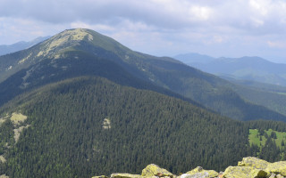 Збитки на понад 20 млн гривень: ділки хотіли вивести з держвласності 6 гектарів лісу під Буковелем