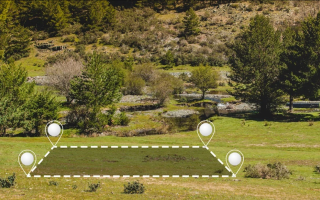 Кому из ФЛП нужно обязательно подавать декларацию по плате за землю — разъяснение