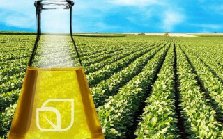 Правительство одобрило новый техрегламент для биотоплива – что изменится для рынка Украины