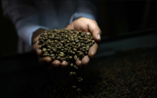 Світові ціни на каву падають після скасування Трампом мит для Бразилії, — Reuters