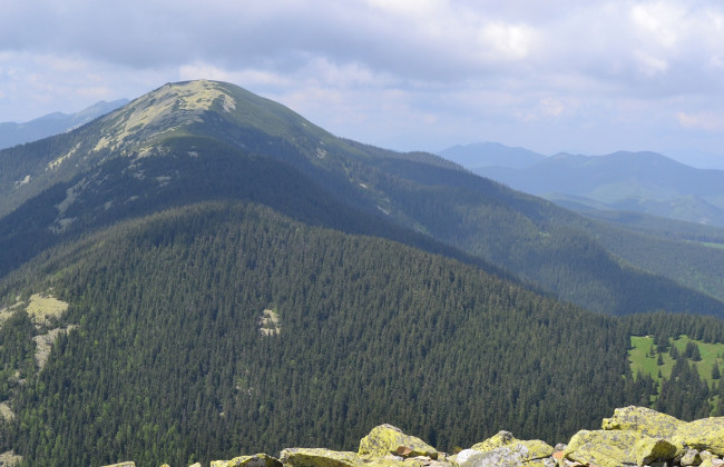 Збитки на понад 20 млн гривень: ділки хотіли вивести з держвласності 6 гектарів лісу під Буковелем