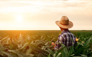 Фермеры могут получить помощь по уплате единого взноса: кого это касается