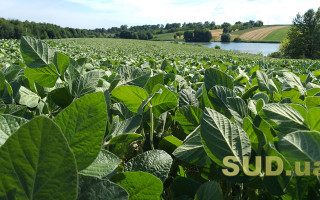 Кабмин предлагает Раде упростить изменение целевого назначения земли — детали законопроекта