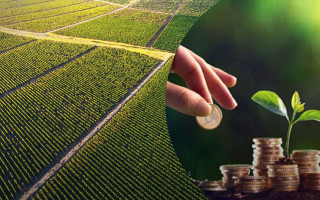 Хто сплачує земельний податок, якщо ділянка оформлена на дитину — роз’яснення