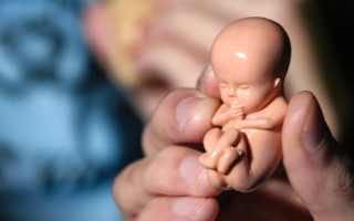 В Шотландии рассматривают разрешение абортов по полу ребенка