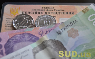 Пенсионерам объяснили, как пройти идентификацию через зарубежные дипломатические учреждения