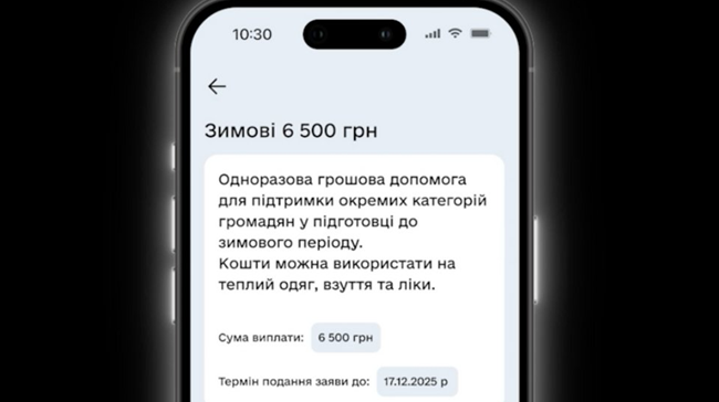 Що можна купити за 6500 гривень Зимової підтримки: список дозволених витрат