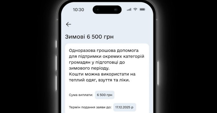 Что можно купить за 6500 гривен Зимней поддержки: список разрешенных расходов