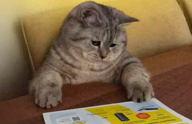 Почему во время отключения суммы в платежках за свет не уменьшаются – в YASNO объяснили