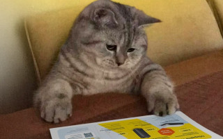 Почему во время отключения суммы в платежках за свет не уменьшаются – в YASNO объяснили