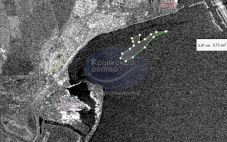 Мазутні плями з’явилися в Керченській протоці – є перші жертви серед птахів