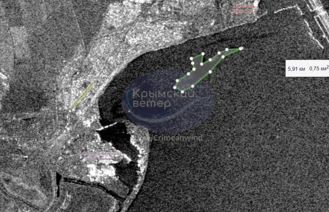 Мазутні плями з’явилися в Керченській протоці – є перші жертви серед птахів