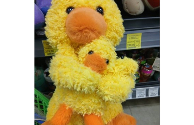 На Прикарпатье выявили опасную игрушку: Госпродпотребслужба изымает товар из обращения