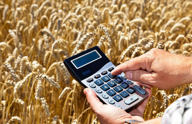 Коли агропідприємство переводять на загальну систему — повний перелік причин анулювання 4-ї групи ЄП