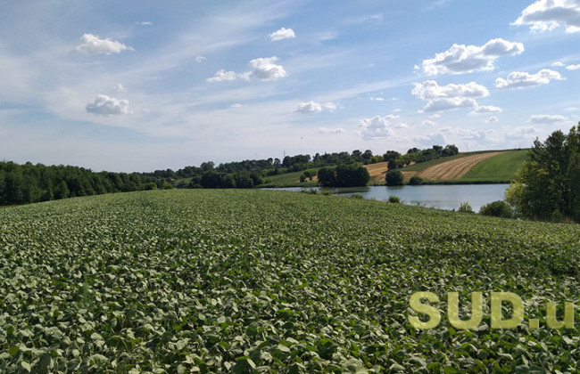 Плата за землю — налоговая напомнила сроки уплаты для граждан