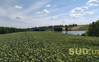 Плата за землю — налоговая напомнила сроки уплаты для граждан