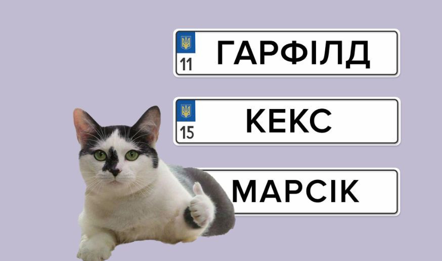 Во время продажи авто через Дию номерные знаки не нужно сдавать в сервисный центр МВД