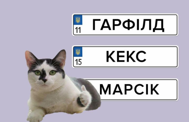 Во время продажи авто через Дию номерные знаки не нужно сдавать в сервисный центр МВД