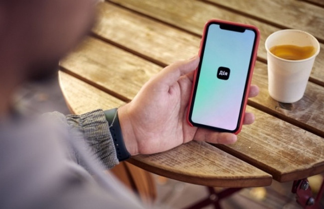 Как подать заявку на жилищный ваучер для ВПЛ через Дию – подробности