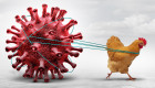 Вчені попереджають – мутація пташиного грипу H5 може спричинити страшнішу за COVID-19 пандемію