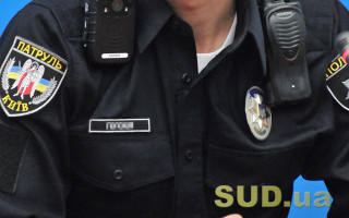 Полицейских обвинили в том, что они якобы сбили собаку – что же произошло