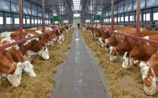 Прифронтовим аграріям збільшать компенсацію за будівництво тваринницьких ферм до 50%