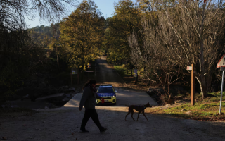 В Испании для сдерживания вспышки африканской чумы свиней привлекли военных