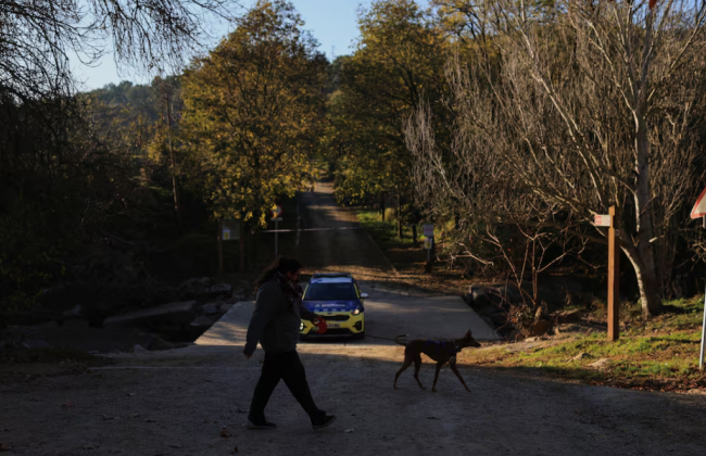 В Испании для сдерживания вспышки африканской чумы свиней привлекли военных